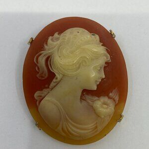 Vtg 1980 lucite cameo chunky brooch